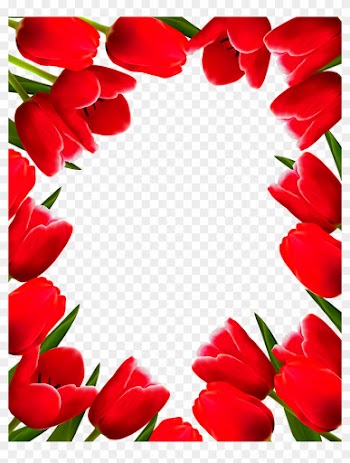 Tulip Flower Picture Frame Clip Art - Border Design Flower Rose