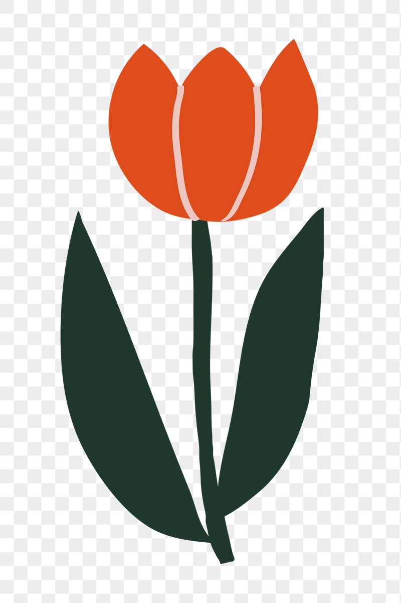 Tulip flower png sticker, cute | Free PNG Illustration - rawpixel