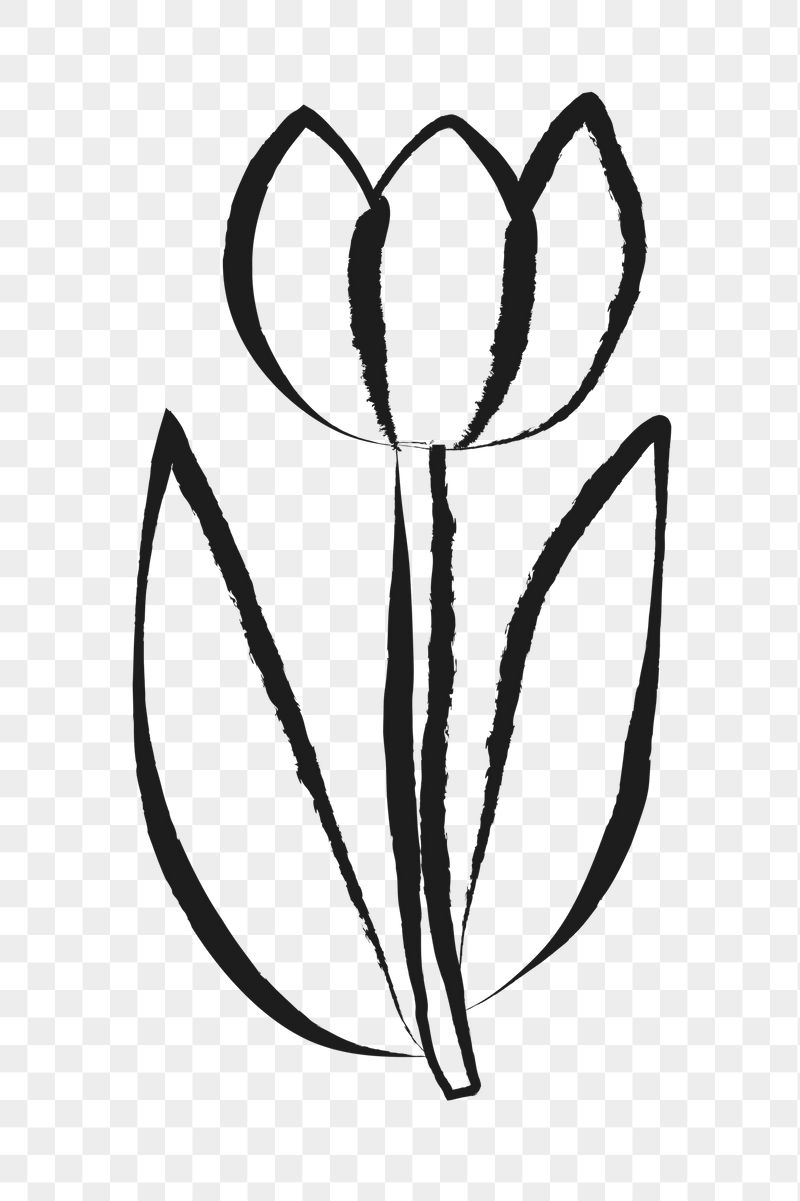 Tulip flower png sticker, doodle, | Free PNG Illustration - rawpixel