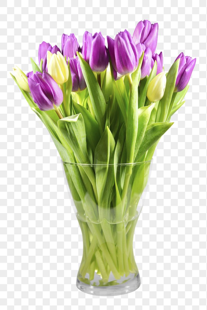 Tulip flower png vase sticker, | Free PNG - rawpixel