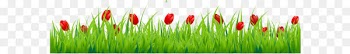 Tulip Flower Stock photography Clip art - Grass with Red Tulips PNG Clipart 