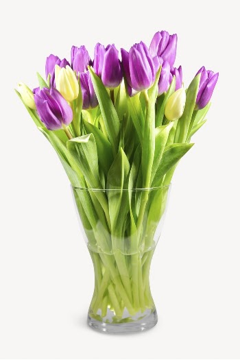 Tulip flower vase isolated image | Free PSD - rawpixel