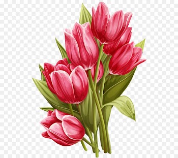 Tulip Flower Watercolor painting Clip art - Hand-painted tulip 