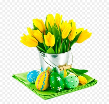 Tulip Flower Yellow Stock photography Easter - Yellow Tulips 