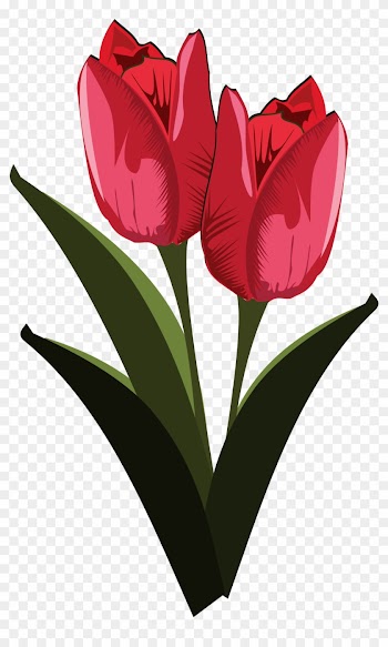 Tulip Free To Use Clip Art - Public Domain Free Clip Art Flowers