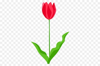 Tulip Illustration Flower Clip art Plate-bande -  