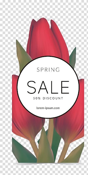 Tulip Illustration, Tulips sales transparent background PNG clipart