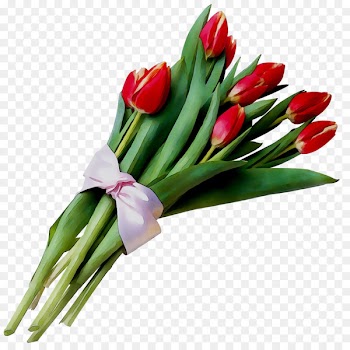 Tulip International Women's Day Flower bouquet Floral design -  