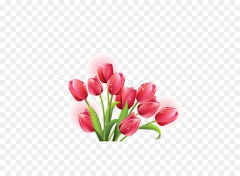 Tulip mania Flower Clip art - Flowers 