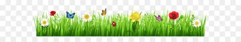 Tulip Meadow Grasses Wildflower Wallpaper - Spring Grass with Flowers PNG Clipart Picture 