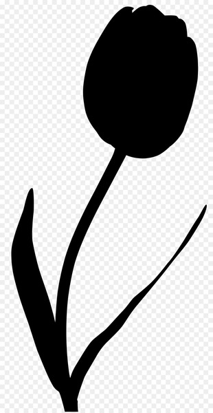Tulip Plant stem Black Red Flower -  
