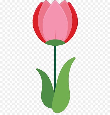 Tulip, Plant Stem, Leaf, Green PNG