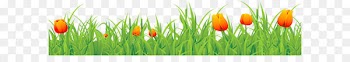 Tulip Time Festival - Grass Ground with Tulips PNG Clipart 