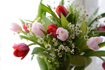 Tulips bouquet on the windowsill. A beautiful light bouquet with pink and red tulips and small white daisies. For use on postcards,card, posters, wedding invitations, printing on paper.