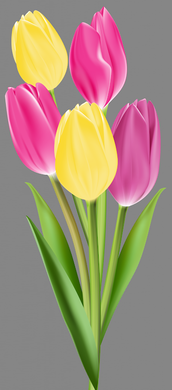 Tulips PNG Image | Gallery Yopriceville - High-Quality Images and ...