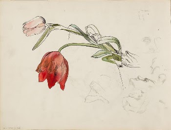 Tulppaaneita, kasvotutkielmia, 1900
part of a sketchbook, | Free Photo - rawpixel