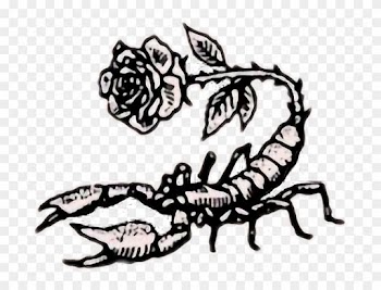Tumblr Rose Rock Scorpion Aesthetic Retro Flower Art - Scorpion Rose Drawing