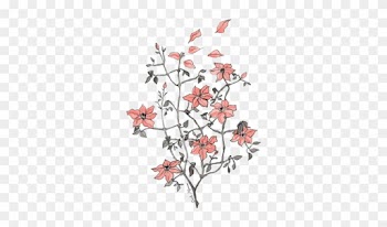 Tumblr Transparent Flower Drawing - Flower Drawings