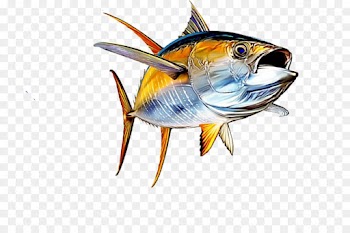 Tuna Salad, Yellowfin Tuna, Tuna, Fish, Fin PNG