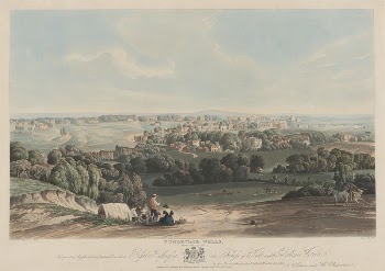 Tunbridge Wells from Frant Forest | Free Photo - rawpixel