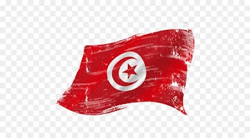 TUNISIAN Flag - Turkish flag vector material 