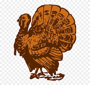 Turkey-30877 960 - Spanish Word For Turkey