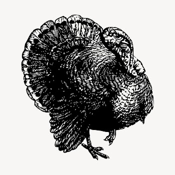 Turkey bird clipart, vintage hand | Free Vector - rawpixel