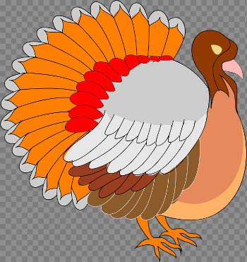 Turkey Bird PNG Pic