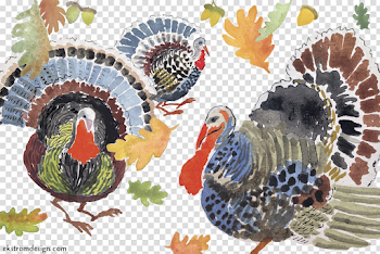 Turkey Bird PNG Transparent Image