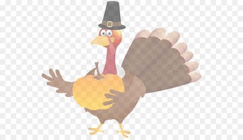 turkey cartoon chicken bird ostrich