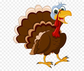 Turkey Cartoon Clip art - Transparent Thanksgiving Turkey Picture 