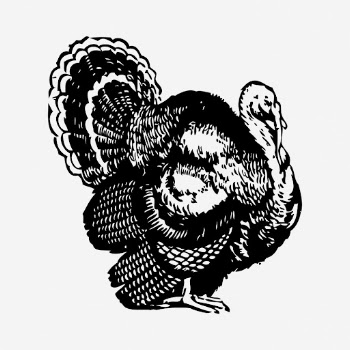 Turkey clipart, farm animal vintage | Free Vector - rawpixel