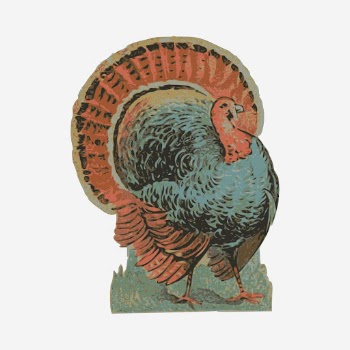 Turkey clipart, vintage bird illustration. | Free Photo - rawpixel