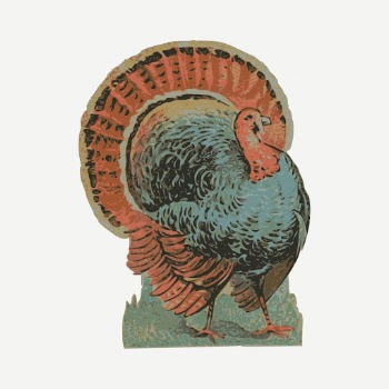 Turkey clipart, vintage bird illustration | Free PSD - rawpixel
