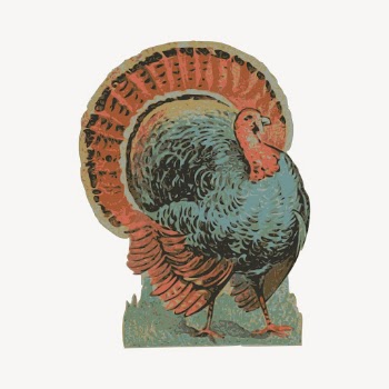Turkey clipart, vintage bird illustration | Free Vector - rawpixel