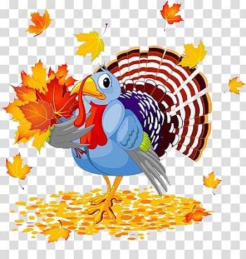 Turkey day transparent background PNG clipart