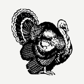 Turkey drawing, farm animal vintage | Free PSD - rawpixel