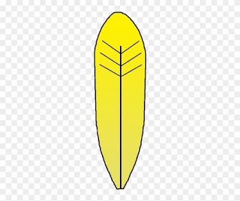 Turkey Feather Clipart Black And White Free Png - White
