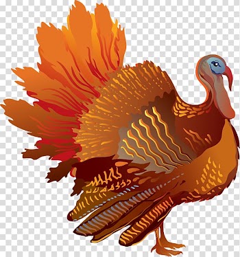 Turkey Freedom from Want , Colorful Turkey transparent background PNG clipart