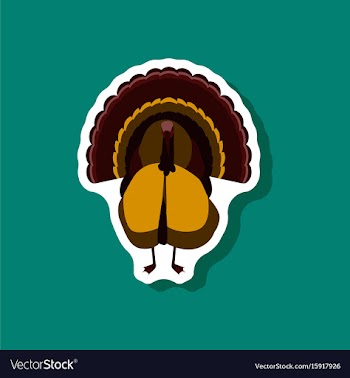 Turkey paper sticker on stylish background vector image