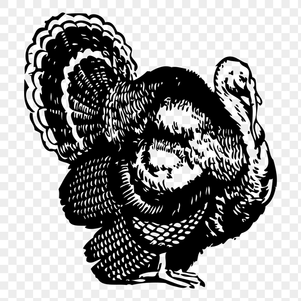 Turkey png sticker, farm animal | Free PNG - rawpixel