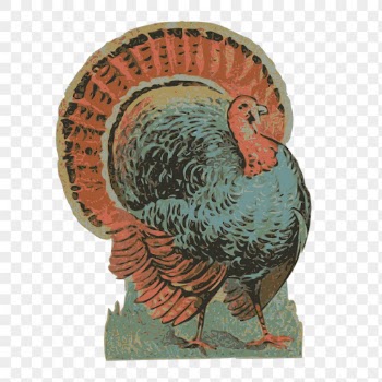Turkey png sticker, vintage bird | Free PNG - rawpixel