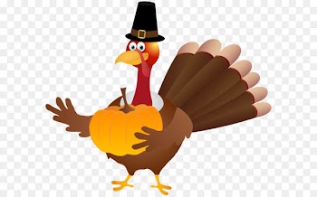 Turkey Thanksgiving Clip art - Thanksgiving Turkey Transparent PNG Image 