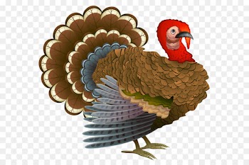 Turkey Thanksgiving dinner Cornucopia Clip art - Turkey PNG Clipart 