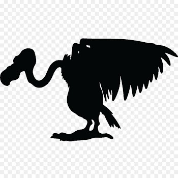 Turkey vulture Bird Sticker Common buzzard - bird 
