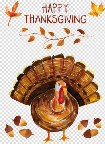 Turkey Watercolor painting Thanksgiving, Thanksgiving turkey painted transparent background PNG clipart