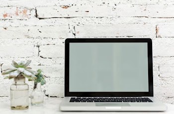 turned off silver MacBook Pro near succulent plant