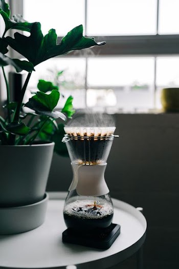 turned on black and grey coffeemaker near green leaf plant