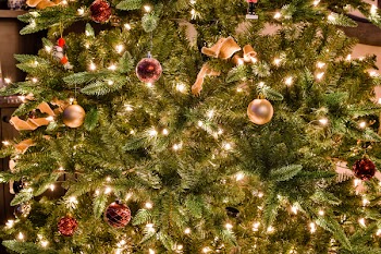 Turned On Christmas Lights