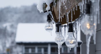 Turned on Clear Light Bulbs